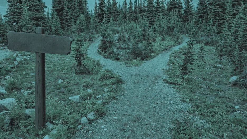 Crear un rastreador web frente al uso de herramientas de extracción de datos