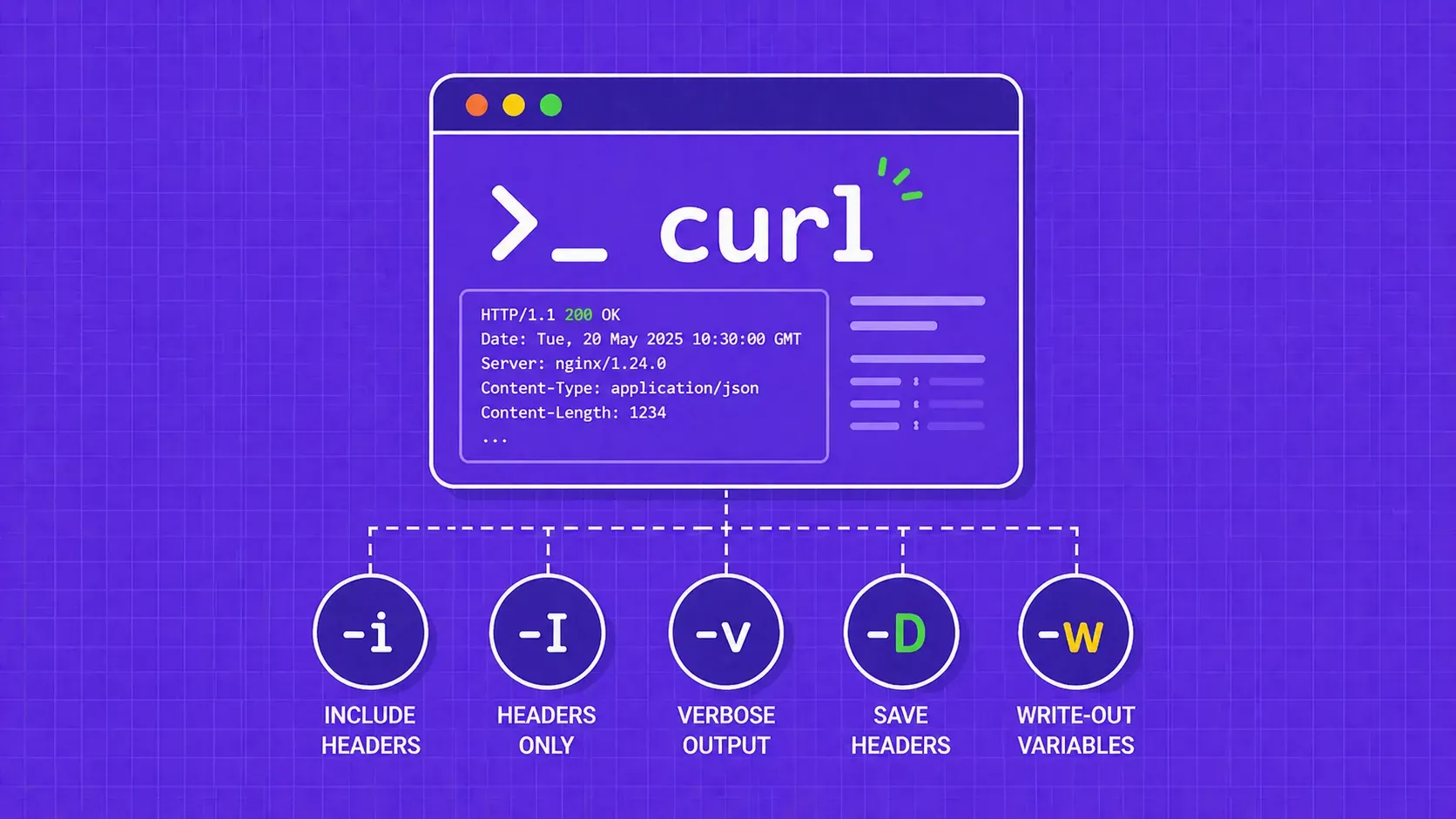 Cabeceras de Respuesta HTTP en cURL: Cada Bandera, Técnica y Receta de Scripting