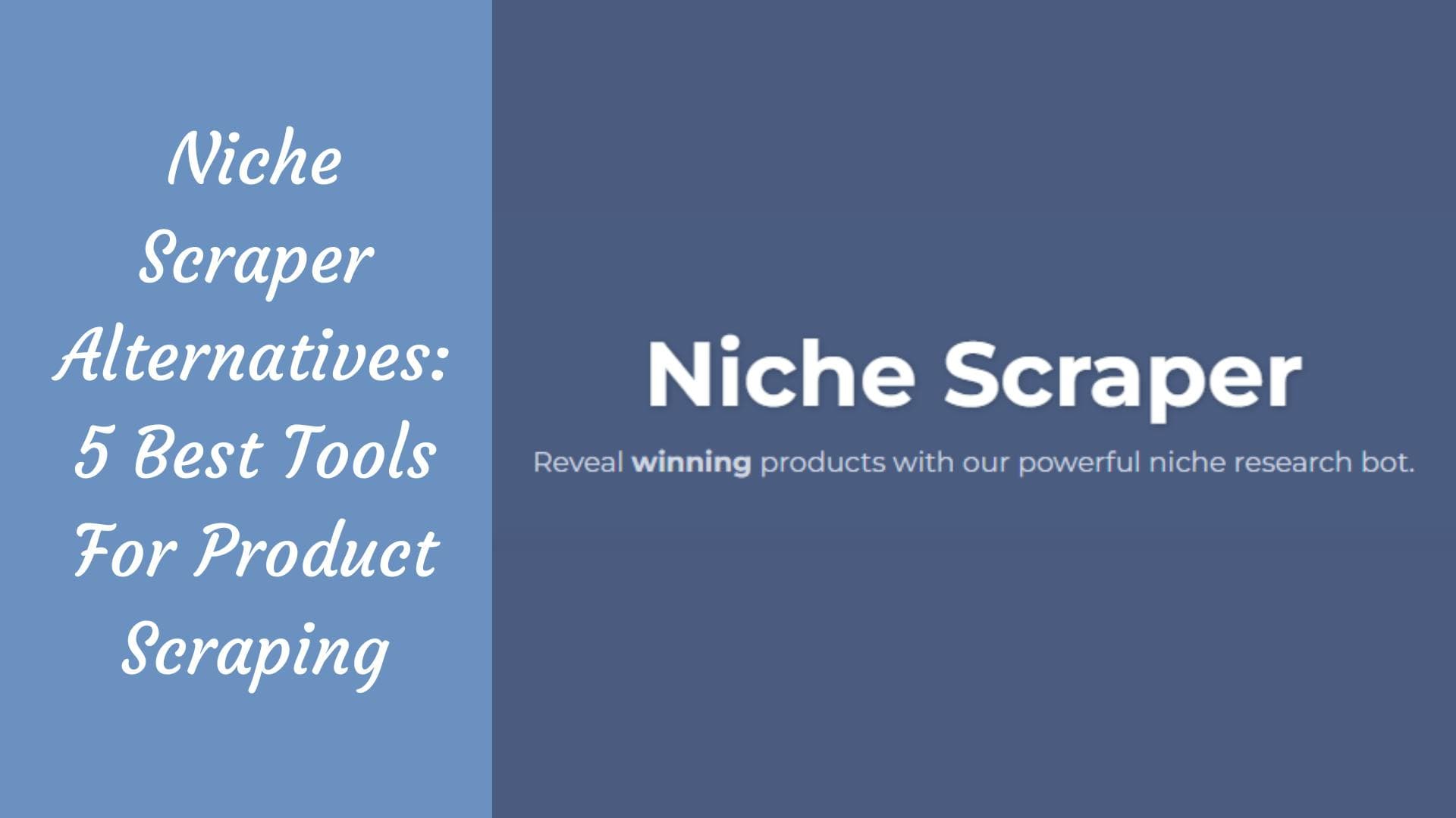 Alternativas a Niche Scraper: las 5 mejores herramientas para el scraping de productos
