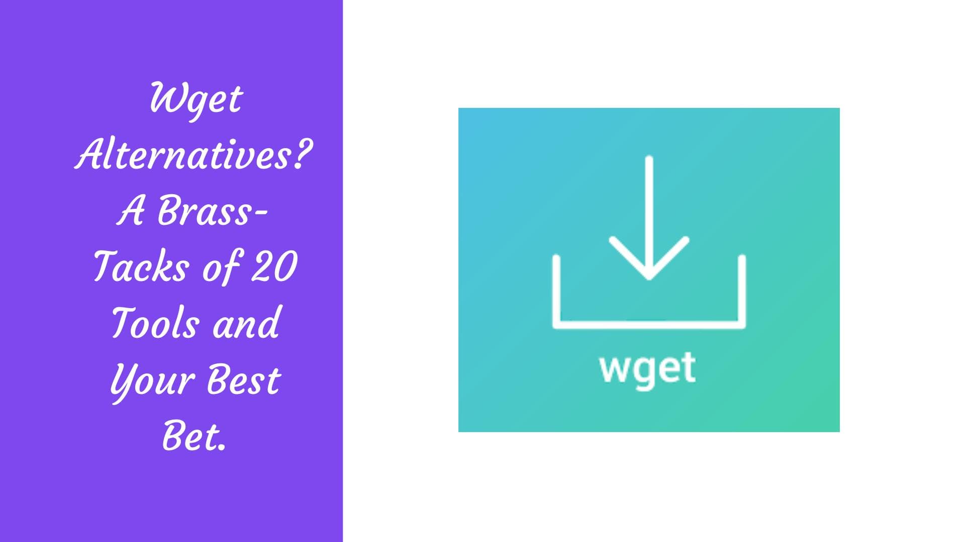 ¿Alternativas a Wget? Un resumen conciso de 20 herramientas y cuál es la mejor opción.